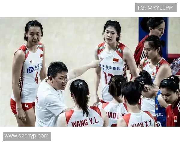 南京排球队的战术变革与球员成长深度解析